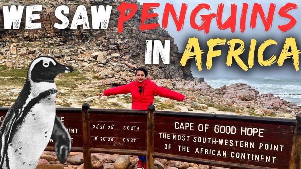 A person in a red jacket standing by a sign at Cape of Good Hope, with a penguin in the foreground. 2