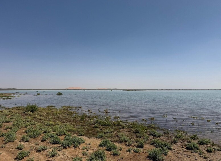 A calm lake with sparse vegetation and distant mountains under a clear sky. 3