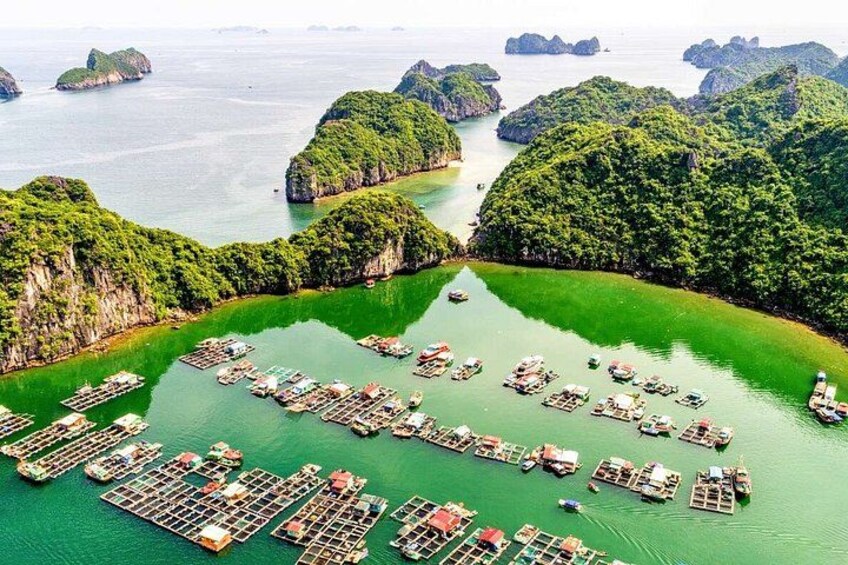 Halong to Lan Ha Bay Private Canoe Adventure from Harbor 1