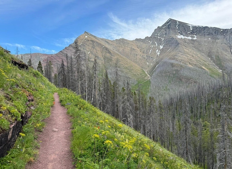 A mountain trail with a clear sky, surrounded by forested slopes and a prominent mountain peak. 4