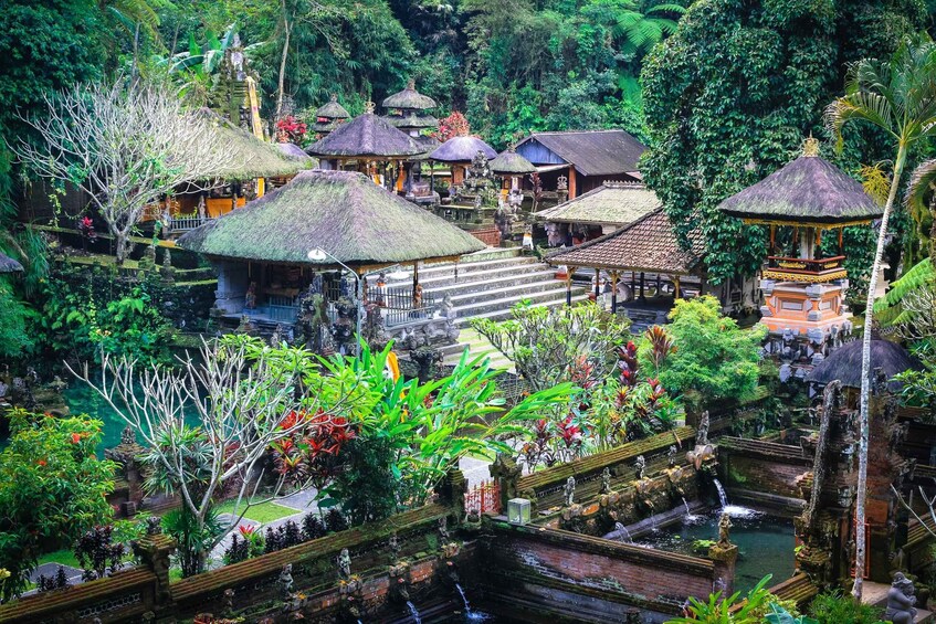 Picture 1 for Activity Ubud Semi Custom Private Half-Day Tour with Private Guide 2