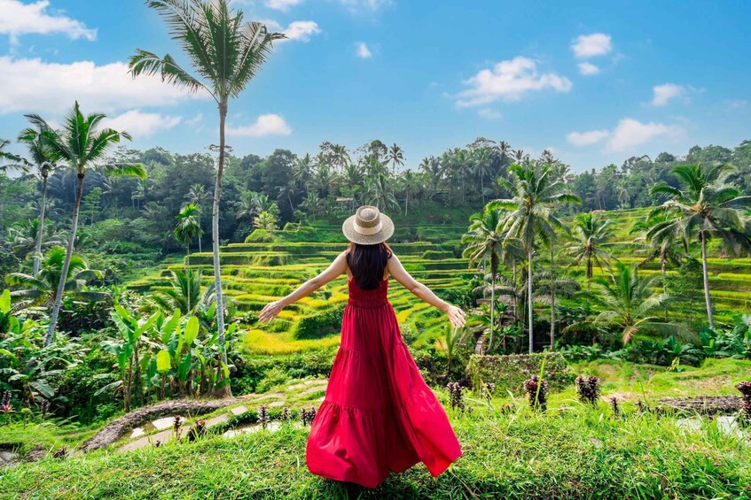 Ubud Semi Custom Private Half-Day Tour with Private Guide 1