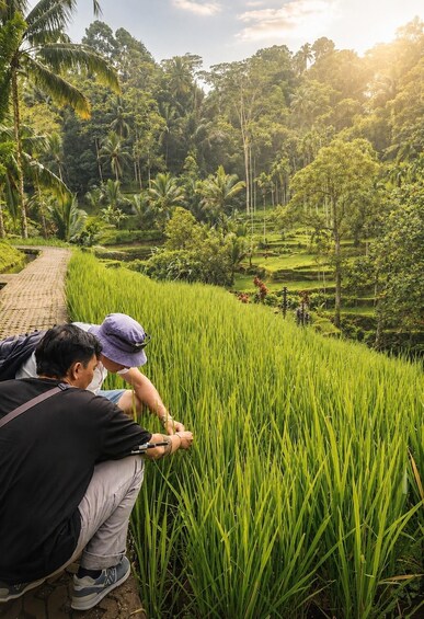 Ubud Semi Custom Private Half-Day Tour with Private Guide 4