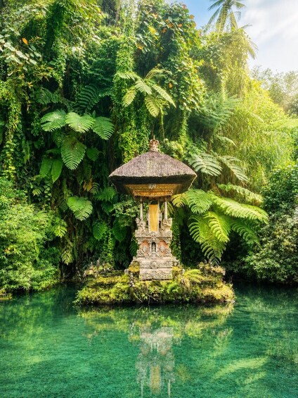 Picture 2 for Activity Ubud Semi Custom Private Half-Day Tour with Private Guide 5