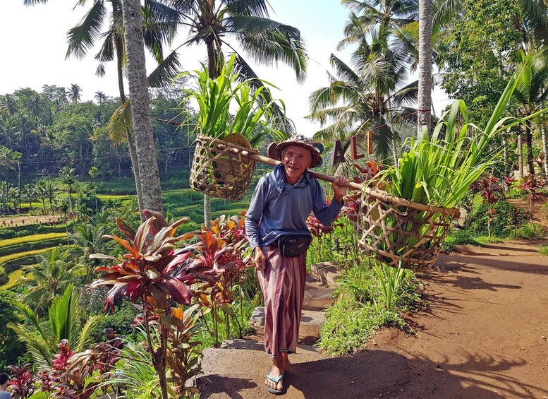 Ubud Semi Custom Private Half-Day Tour with Private Guide 1
