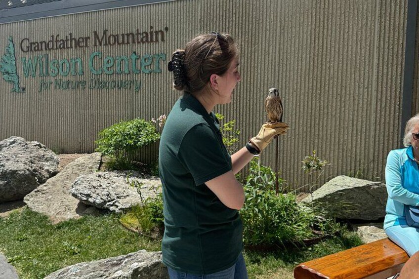 A person holding a bird in front of a sign that reads 'Grandfather Mountain Wilson Center for Nature Discovery.' 3