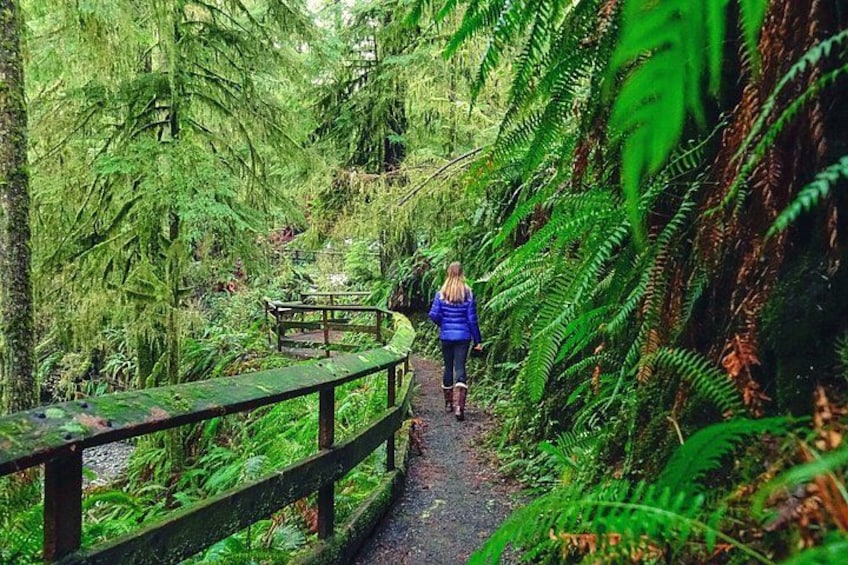 Self Guided Audio Tour Bundle US Pacific Coastline 3