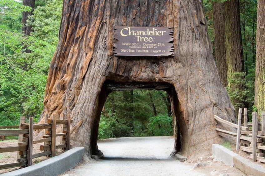 Self Guided Audio Tour Bundle US Pacific Coastline 2