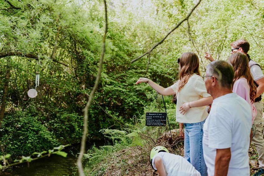 A group of people observing a sign in a forested area with a stream. 5