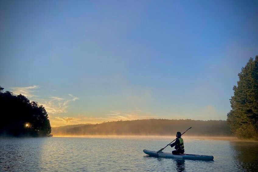 A person paddling a kayak on calm water with a forested shoreline and mist in the background. 3