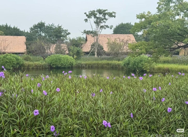 Picture 4 for Activity Zhejiang: Liangzhu Ruins Ticket 4