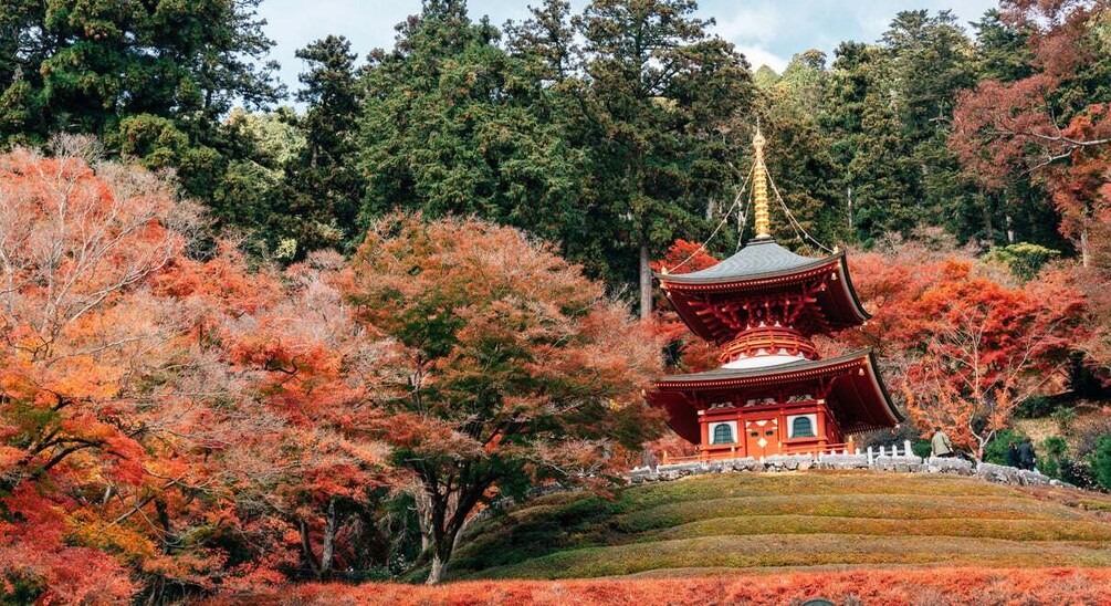 A traditional Japanese pagoda surrounded by autumn foliage. 4
