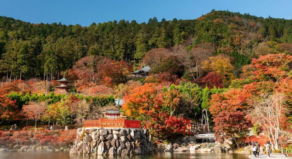 A traditional Japanese garden with a pond, red foliage, and a pagoda on a hill. 2