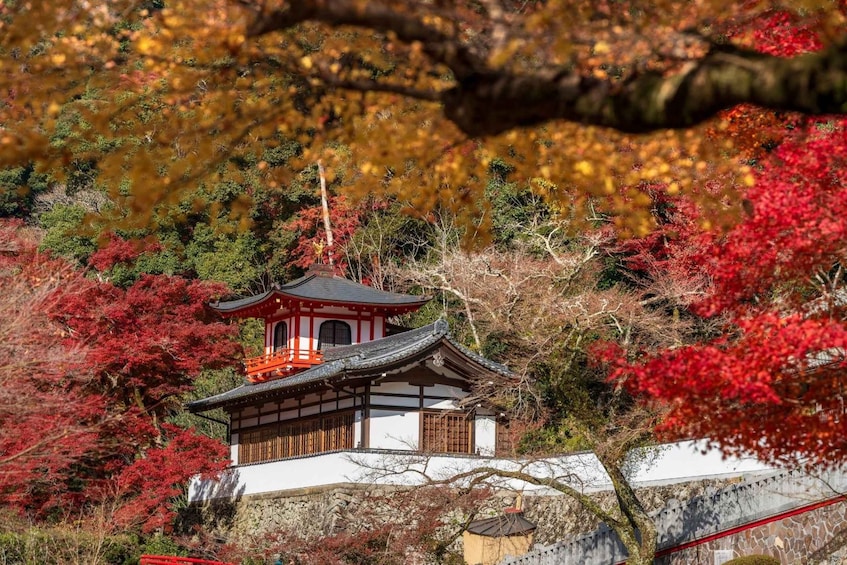 A traditional Japanese temple surrounded by autumn foliage. 5