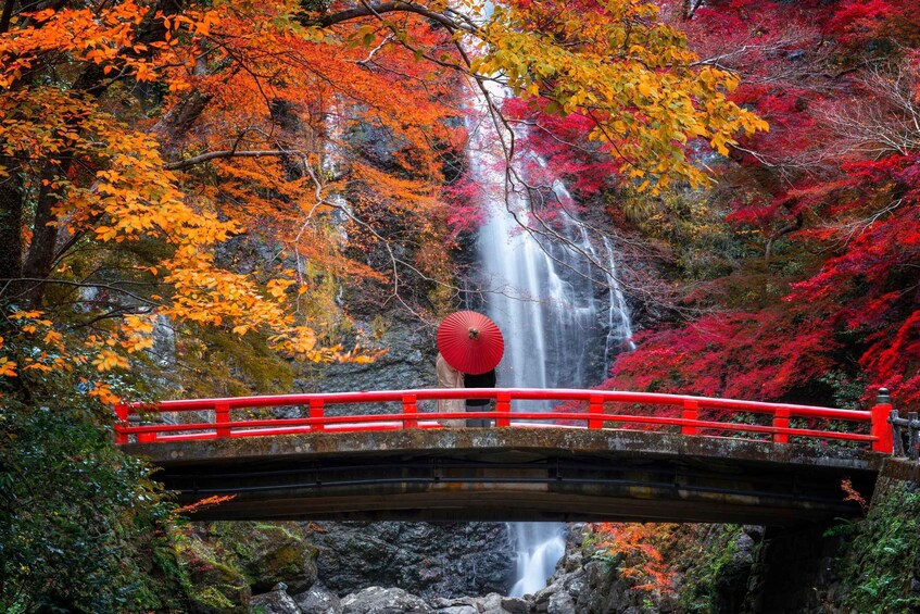 Picture 1 for Activity Osaka Nature & Heritage Tour: Katsuoji, Minoh Falls & Houses 5