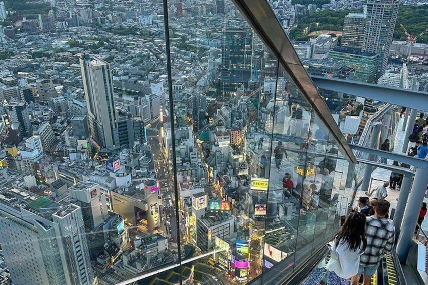 Tokyo Private Tour with Custom Itinerary And English Driver Guide 3