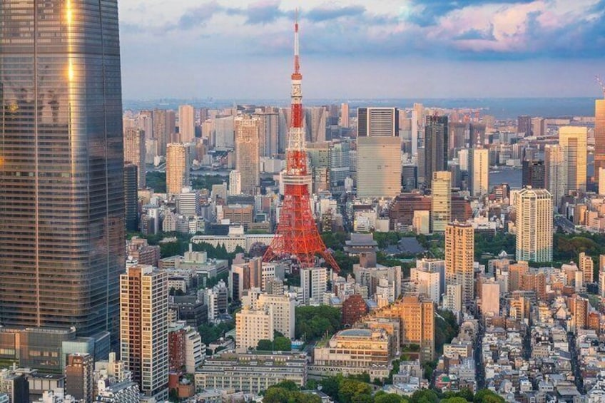 Tokyo Private Tour with Custom Itinerary And English Driver Guide 1
