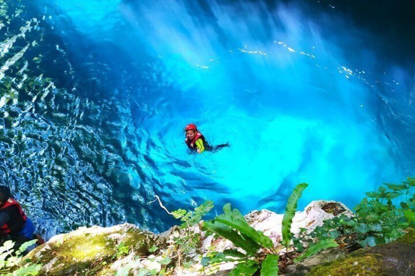 A diver in a blue underwater environment with visible marine life and rocky terrain. 5