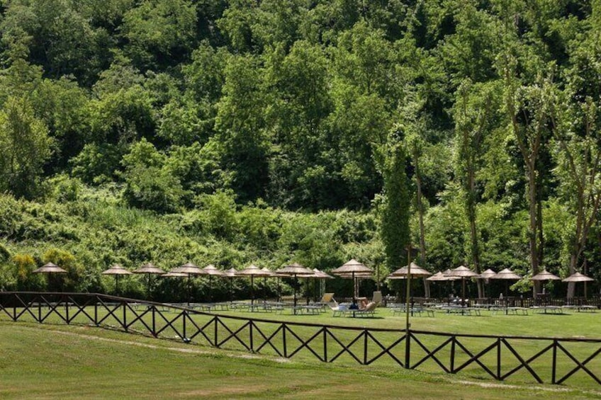 A park with rows of umbrellas and a fence. 4