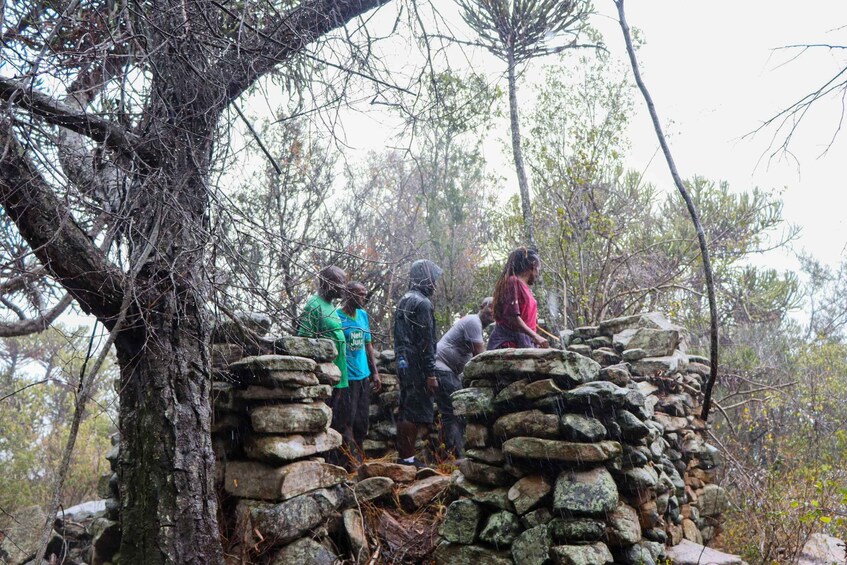 A group of people standing on a stone wall in a forested area. 5