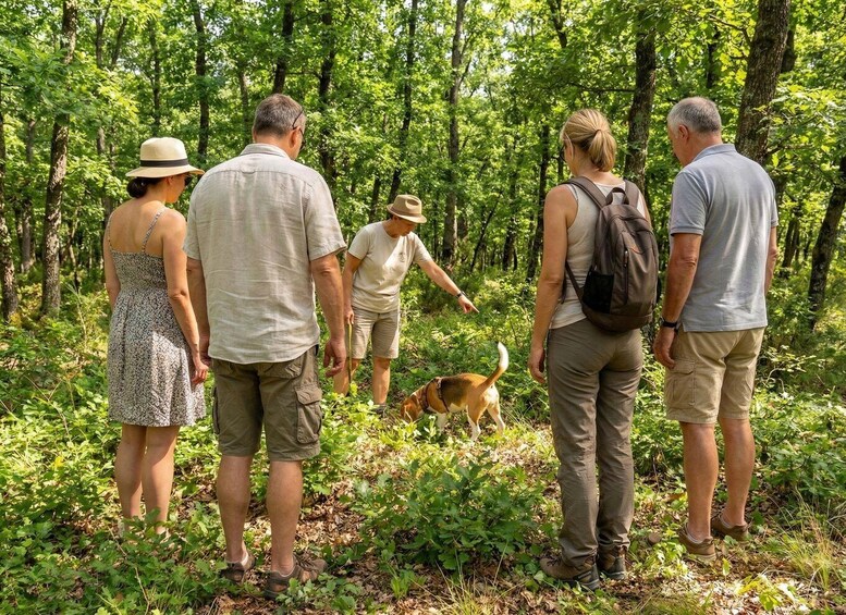 Un grupo de personas en un área boscosa, algunas con mochilas, observando a un perro. 5