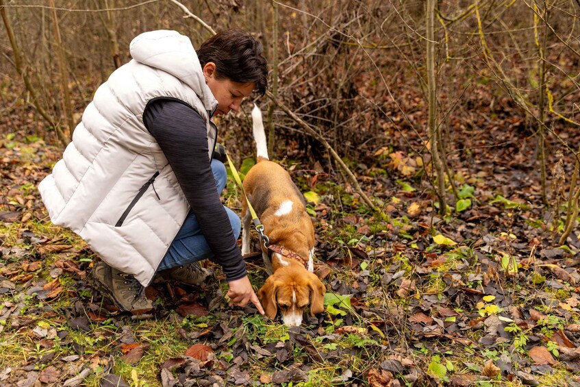 Una persona agachada en un bosque con un perro con correa. 4