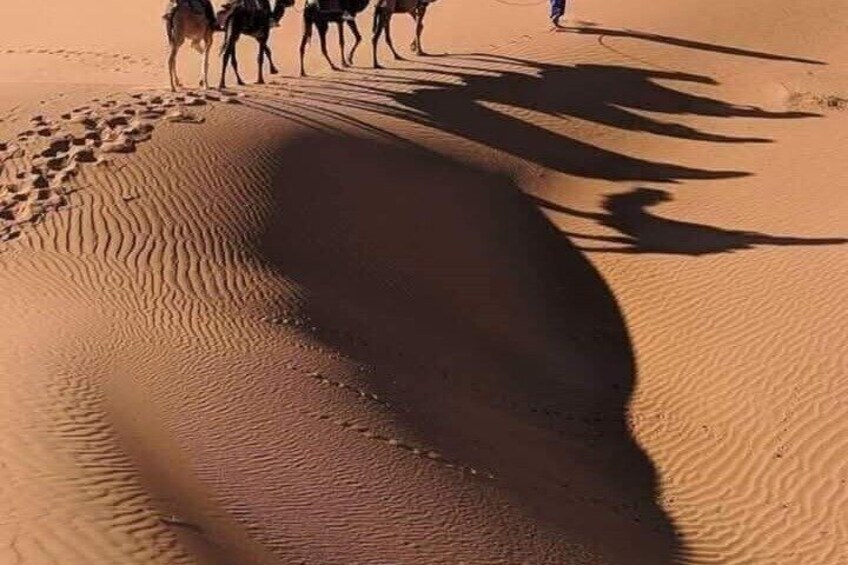 A desert landscape with sand dunes and a camel caravan. 1