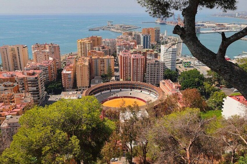 Malaga 360o Panoramic with Guided Tour or VR Experience 5