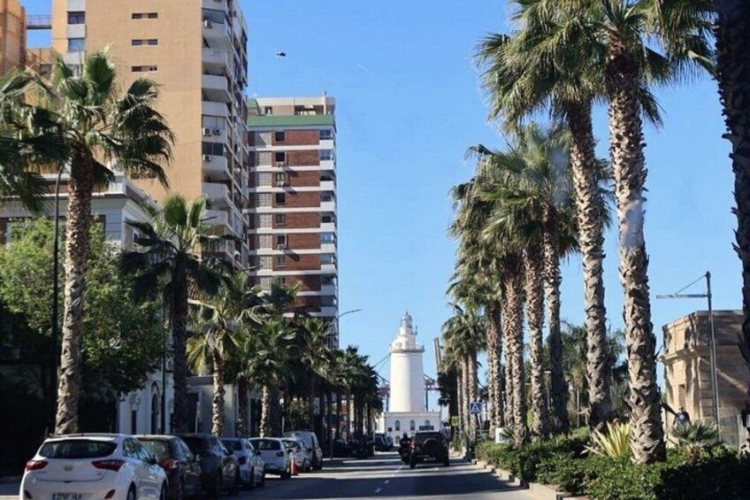 A street lined with palm trees and parked cars, with a tall building and a lighthouse in the background. 4