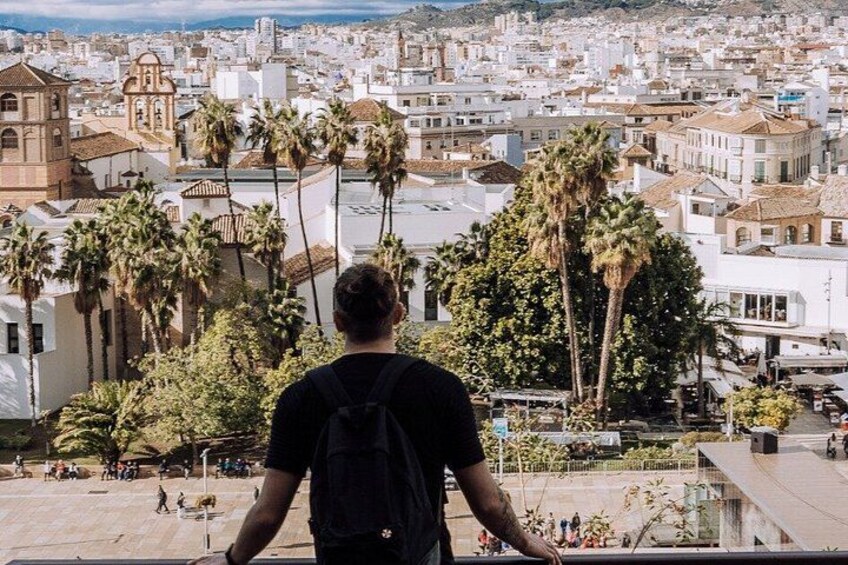 A person overlooking a cityscape with palm trees and buildings. 5