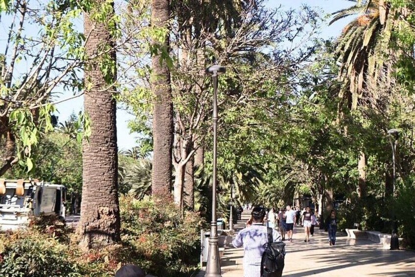 Malaga 360o Panoramic with Guided Tour or VR Experience 2