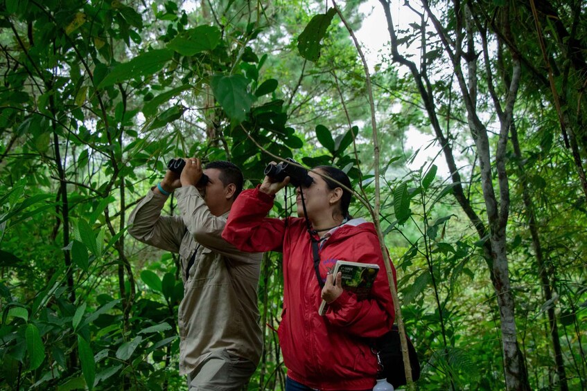 Picture 1 for Activity Bali: Munduk Jungle Trekking & Ulun Danu Beratan Temple tour 5