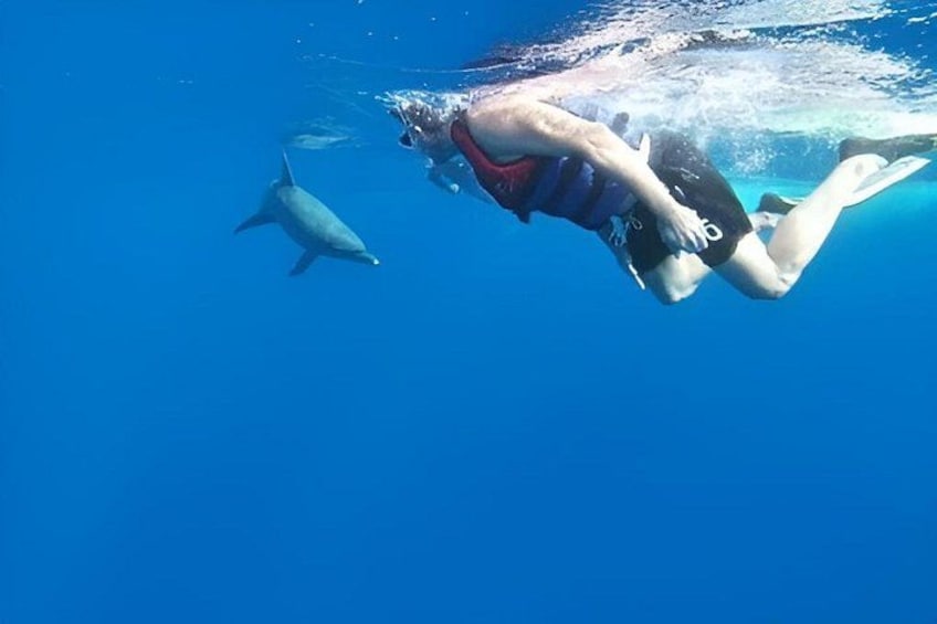 A person swimming underwater with a dolphin. 3