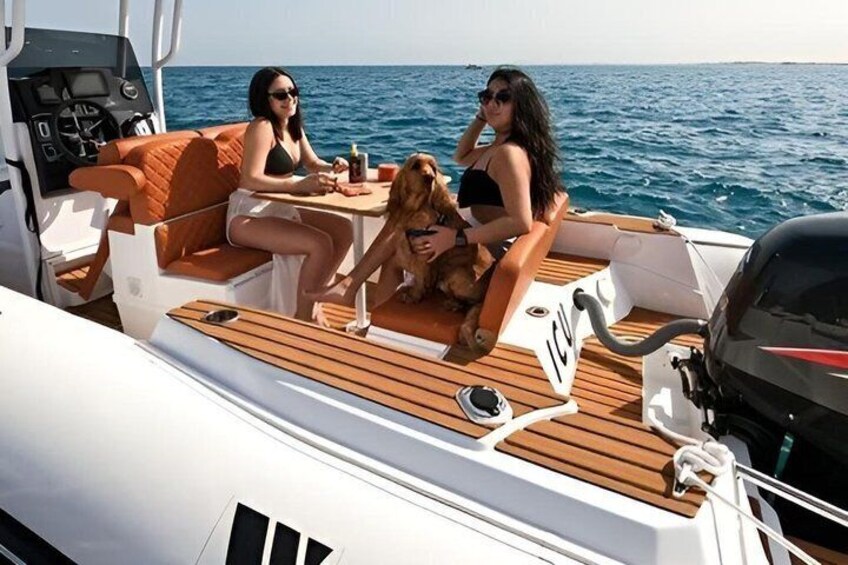Private Speed Boat 4 Hours Dolphin 1