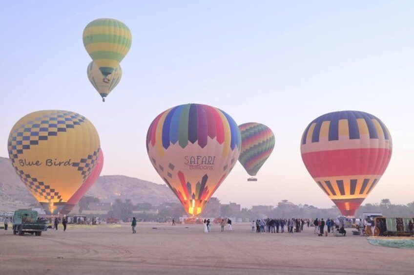 A hot air balloon festival with colorful balloons, including 'Blue Bird' and 'Safari Balloons.' 3