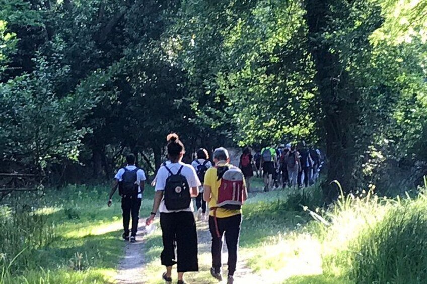 Guided Nature Walk in San Rossore Natural Park 1