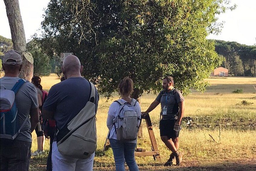 Guided Nature Walk in San Rossore Natural Park 5