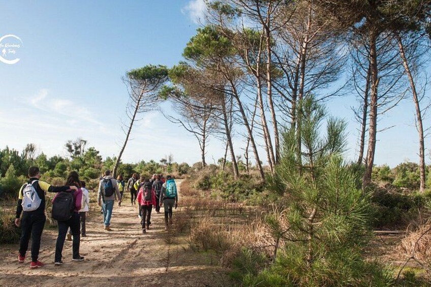 Guided Nature Walk in San Rossore Natural Park 2