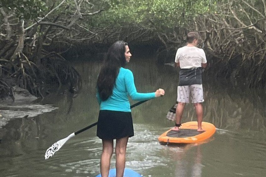 Mangrove Paddleboard & River West Side Wildlife Experience 5