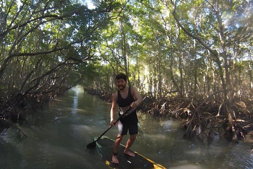 Mangrove Paddleboard & River West Side Wildlife Experience 2