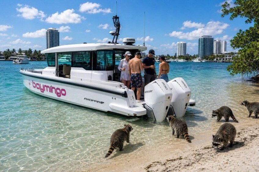 En hvid båd kaldet 'baymingo' med mennesker ombord, tæt på en strand med vagabiler og krystalklart, blåt vand. 1