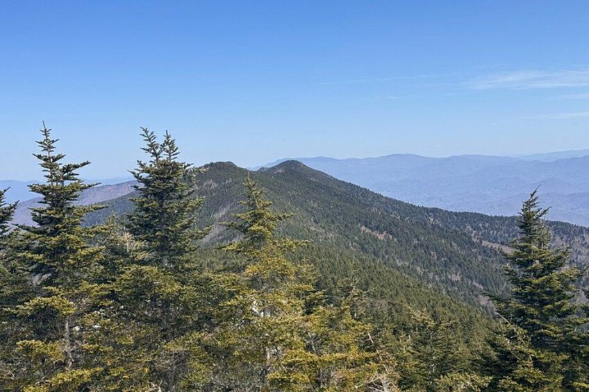 Mt Mitchell Scenic Summit Tour 1