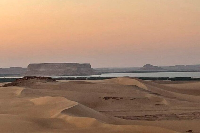 Desert Adventure: 4x4 Dune Bashing, Sandboarding & Dinner 4