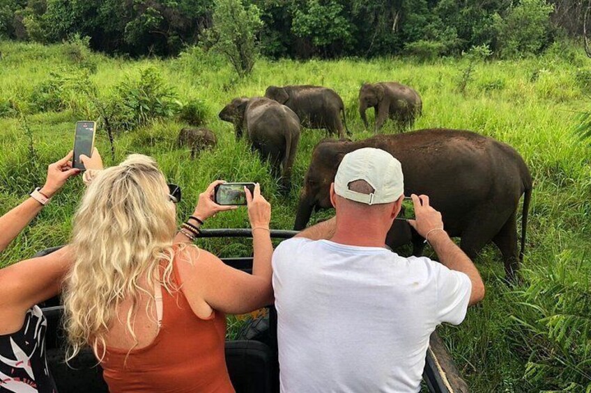 A group of elephants in a grassy field, with people taking photos. 5
