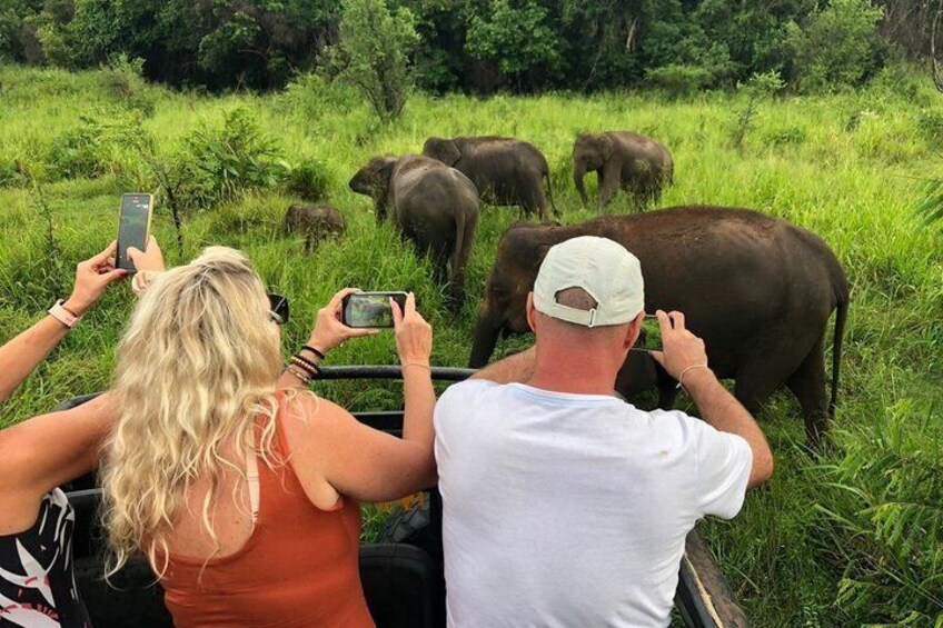 2 Day Ella and Yala Safari Tour With 4 Star Hotel Transportation 5