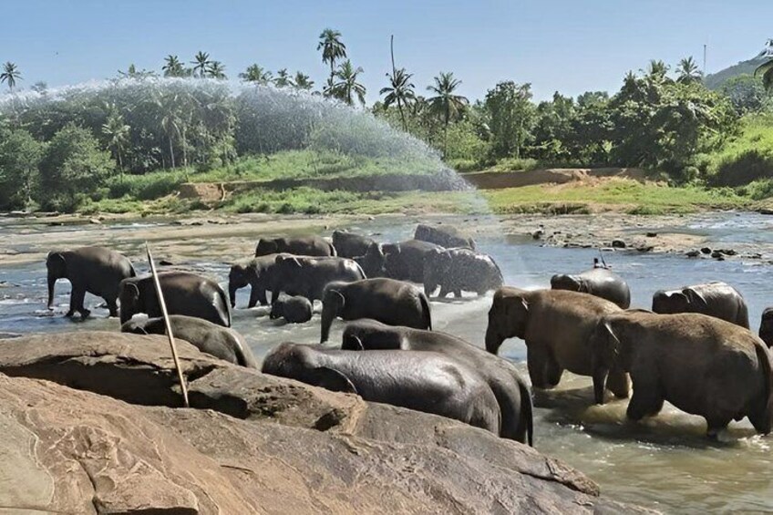 2 Day Ella and Yala Safari Tour With 4 Star Hotel Transportation 4