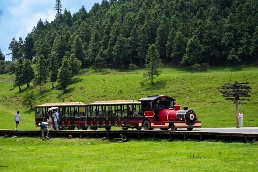 A red and black train on tracks with passengers, surrounded by a green hillside and a dense forest. 2