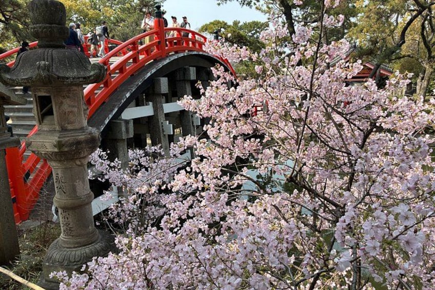 Osaka Private Custom Tour with Native Osakan 3