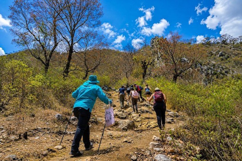 Un grupo de excursionistas en un sendero rocoso rodeado de árboles y arbustos. 5