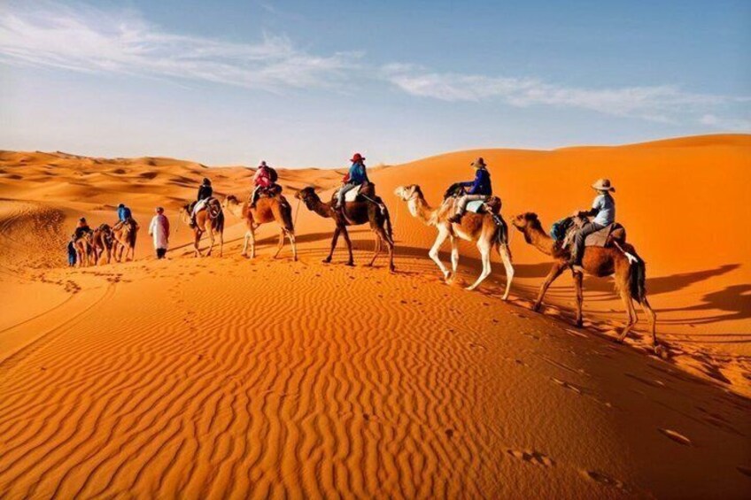 Un gruppo di persone cavalca dromedari attraverso un deserto con dune di sabbia. 4